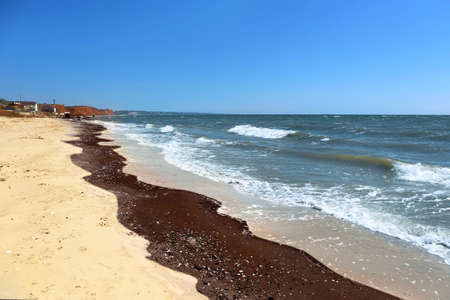 Oil spill on water near shore. Concept of ecological disasterの写真素材