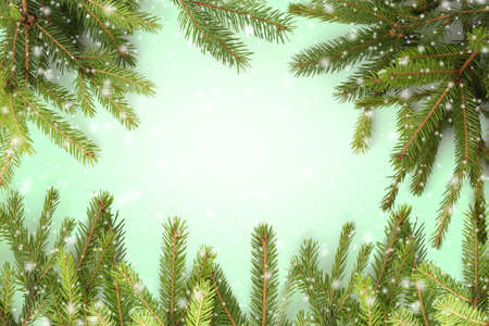 Frame of coniferous tree branches on color background. Snow effectの写真素材