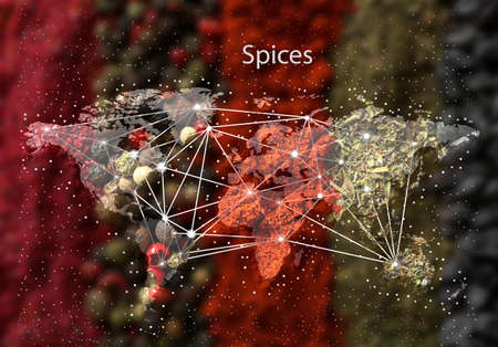 World map and different spices on background. Logistic and wholesale conceptの写真素材