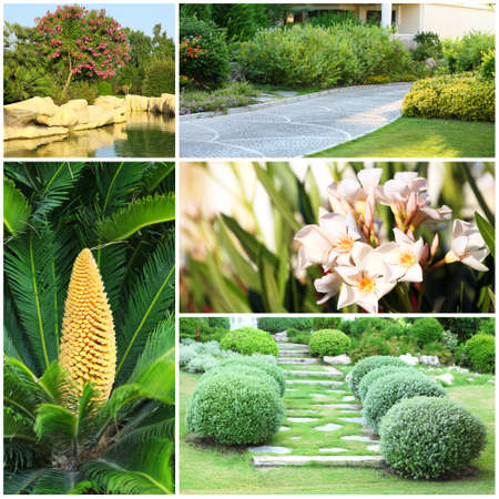 Collage of beautiful nature landscapingの写真素材