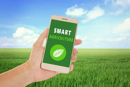 Man with smartphone and wheat field on background. Concept of smart agricultureの写真素材