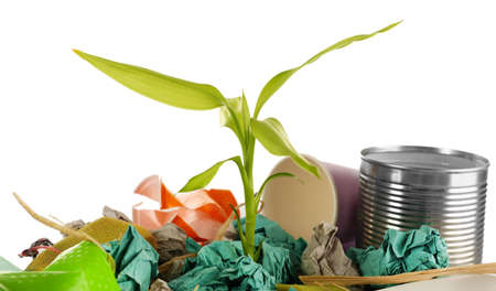 Pile of rubbish with plant isolated on whiteの写真素材