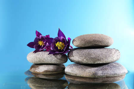 Stack of spa stones with flowers on blue backgroundの写真素材