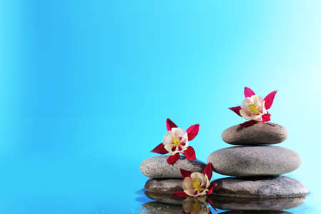 Stack of spa stones with flowers on blue backgroundの写真素材