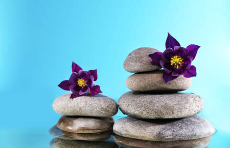 Stack of spa stones with flowers on blue backgroundの写真素材