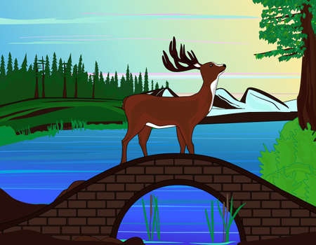Deer at the Bridge in the Woodのイラスト素材