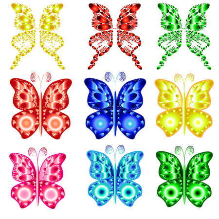 Set of the beautiful colorful butterflies のイラスト素材