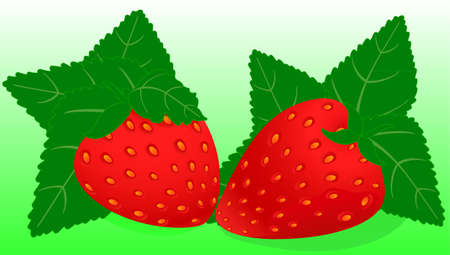 Strawberryのイラスト素材