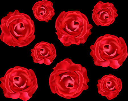 Vector floral seamless texture with realistic red rosesのイラスト素材
