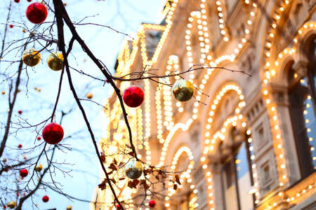 Christmas toys on a tree branch with background lightsの写真素材