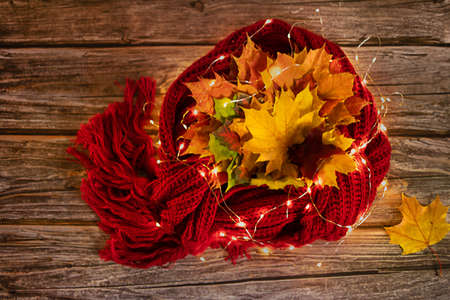 Autumn warm composition in red tones on a wooden background with a cup of tea, garlandの写真素材