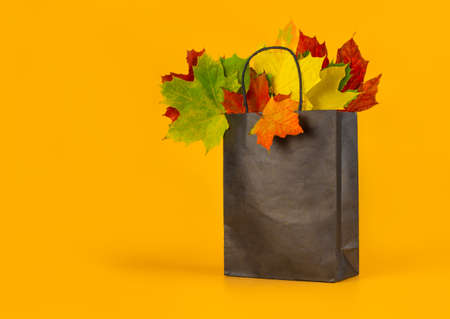 Autumn leaves in a bag on an orange background. Seasonal composition for layouts, template with place for text. Concept - Autumn Sale, Shopping Tripの写真素材