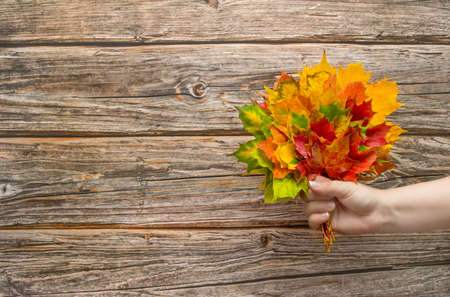 Autumn leaves of red, yellow and green maple on a wooden background. With copy spaceの写真素材