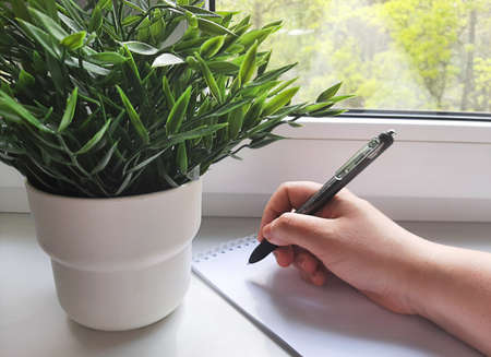 Morning with a good view from the window, notes in a notebook for the day. Refreshing flowers indoors on the windowsillの写真素材