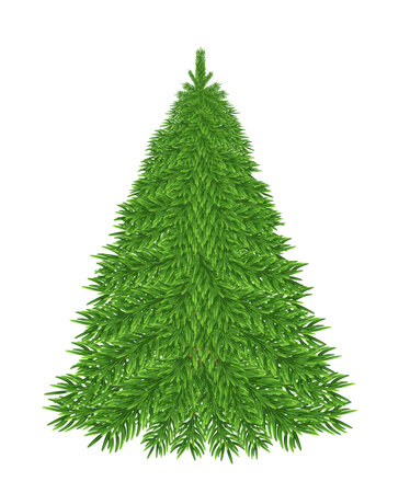 Lush green forest Christmas tree in full frame, full length. On a transparent background, vector illustration in 10EPS format, no rasterのイラスト素材