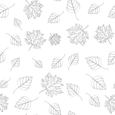 Autumn seamless pattern of autumn maple and birch leaves on a transparent background. Line art style, doodle. for wrapping, poster, card, cover. Outline repeat for scrapbooking, textile, craft paperのイラスト素材