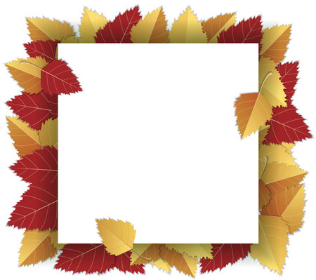 Autumn frame with leaves on white background. EPS 10 vector file includedのイラスト素材