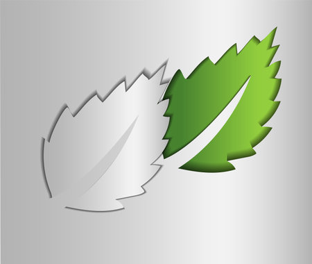 Green leaves on the gray background. vector illustration. Eps 10.のイラスト素材