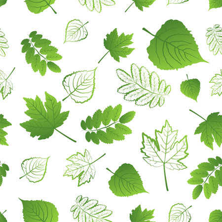 Seamless pattern of fresh different juicy green leaves on a white backgroundのイラスト素材