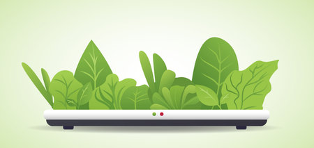 Portable hydroponic aeroponic system for eco-friendly growing of green lettuce, vegetables and herbsのイラスト素材