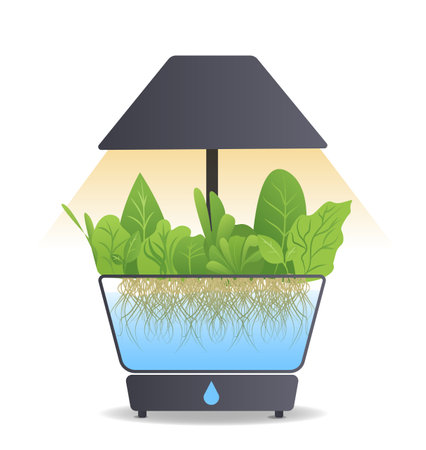 Portable hydroponic aeroponic system for eco-friendly growing of green lettuce, vegetables and herbs. With automatic watering system and phyto lighting. Phytolampのイラスト素材