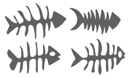 Set fishbone icon. Fish bone or fishbone skeleton flat vector icon for wildlifeのイラスト素材