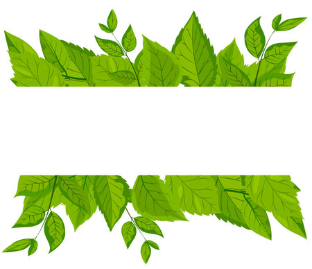 A vector featuring a square white frame embellished with vibrant green leaves. lush foliage surrounds the frame, creating a fresh, natural, and eco-friendly theme suitable. Mockup, templateのイラスト素材