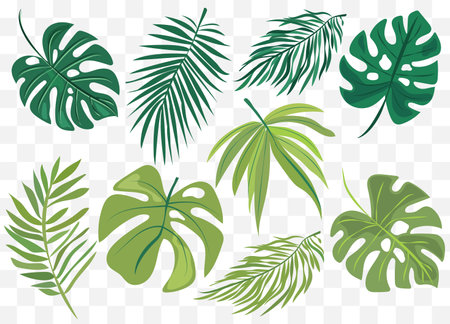 features eight different types of green leaves, each with distinct shapes and vein patterns. diverse foliage showcases various botanical designs, ideal for nature-related graphics and design projectsのイラスト素材