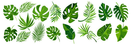 features eight different types of green leaves, each with distinct shapes and vein patterns. diverse foliage showcases various botanical designs, ideal for nature-related graphics and design projectsのイラスト素材