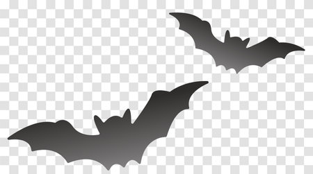 Silhouette of two black bats in flight on a transparent checkered background. Concept of Halloween or spooky themes. Vector illustration,のイラスト素材