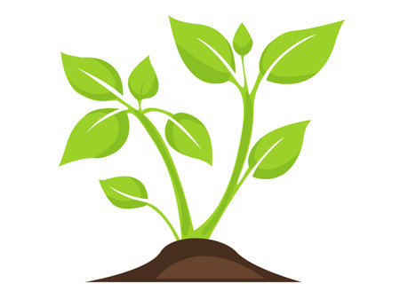 Growing green plants in soil showcasing healthy foliage and new buds in a simple illustration of nature s beautyのイラスト素材