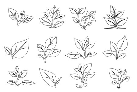 Elegant vector illustration of various leaf designs showcasing plant diversity and delicate outlines for nature-inspired projectsのイラスト素材