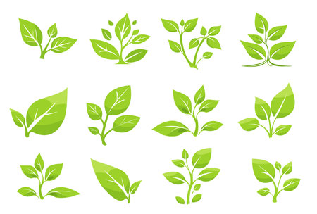 Collection of vibrant green leaf illustrations showcasing various plant shapes and designs ideal for eco-friendly projectsのイラスト素材