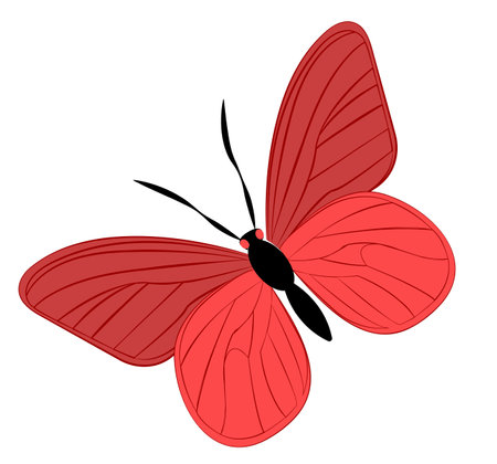 Illustration of a vibrant red butterfly with detailed wings and elegant antennae in a minimalist designのイラスト素材