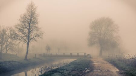 A path besides the river across the trees and the fog in Sils wetland in Gironaの写真素材
