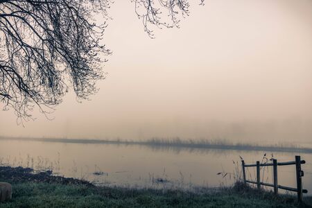 wetland landscape in a foggy day in Sils in Gironaの写真素材
