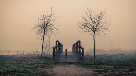 wooden bridge flanked by trees in a foggy landscape in Sils wetland in Gironaの写真素材