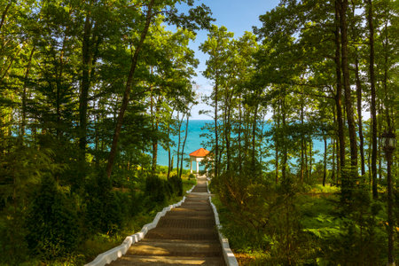 Exit to the gazebo overlooking the sea, through the forest on the steps, southern Russia Krasnodar Territoryの写真素材