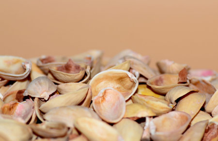 Natural background of pistachio shell or sea beach with shells concept of environmental protection...