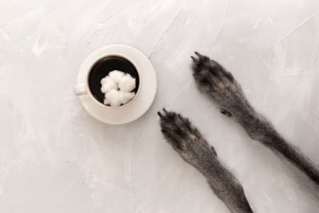 a cup of black coffee on a saucer in the center on a gray background. view from above. copy spaceの写真素材