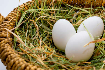 white eggs in a wicker bascet on straw on white backgroundの写真素材