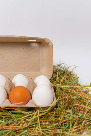 a dozen chicken eggs in egg carton on hay. side view.の写真素材