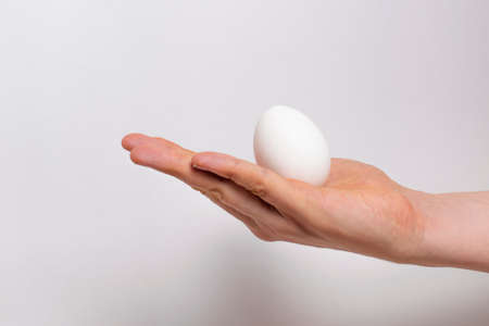 white egg in the palm on an isolated background. Can be used as a template for coloring Easter eggs. Can be used as a template for coloring Easter eggsの写真素材