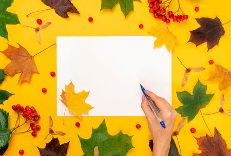 Flat lay autumn fallen leaves on a yellow background with white blank space for text. Top view...