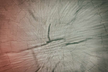 Old wooden background. Cracks pattern. Very interesting natural drawing. cross section of the tree. motion effectの写真素材