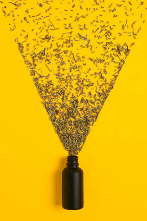 cosmetic black matte glass dropper bottle on a yellow background. Lavender flowers scatter like small droplets from a spray. flat lay.の写真素材