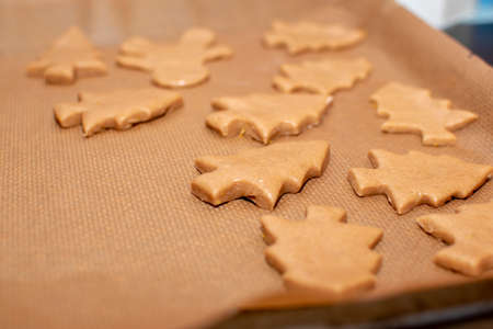 not finished gingerbread cookies in the form of Christmas trees lie on baking paper close-up. Selective focus, warm colors.の写真素材