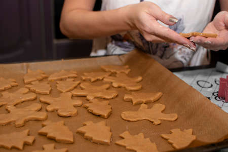 female hands spread Christmas cookies on a baking sheet to bake. Selective focus.の写真素材