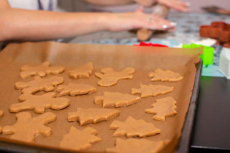 Raw dough in the form gingerbread cookies of Christmas trees and little men lie on baking paper close-up. Selective focus. In the background, female hands roll out the dough.の写真素材