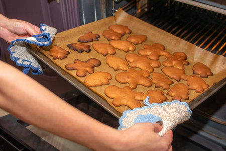 female hands take fresh gingerbread cookie from the oven. One of the steps in making. Some cookies...
